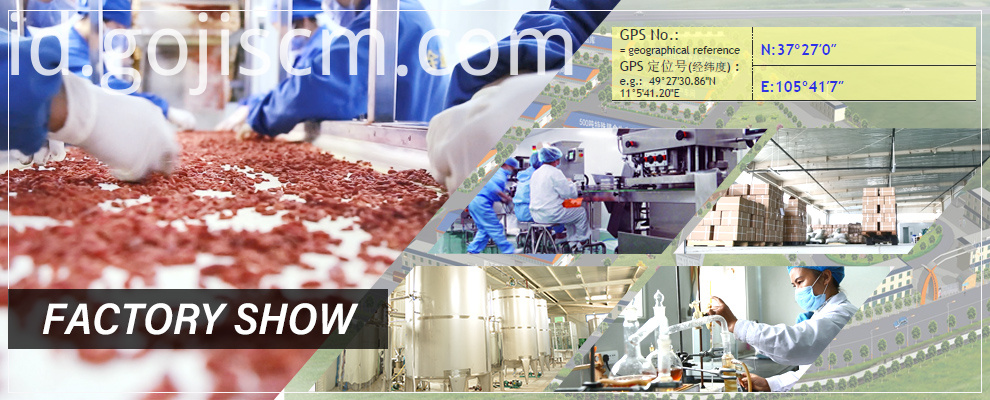 EU Certificate Kering Goji Berry menunjukkan pabrik EU Certificate Dried Goji Berry factory show